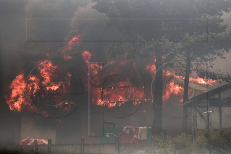 Čile: Broj poginulih u požarima narastao na 131