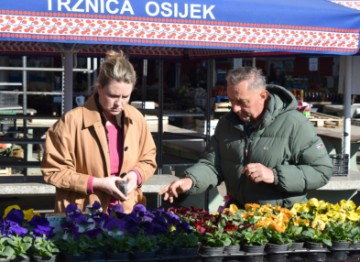 DP: Zakupci na osječkoj Tržnici ne bi trebali o svom trošku uređivati prostor i klupe