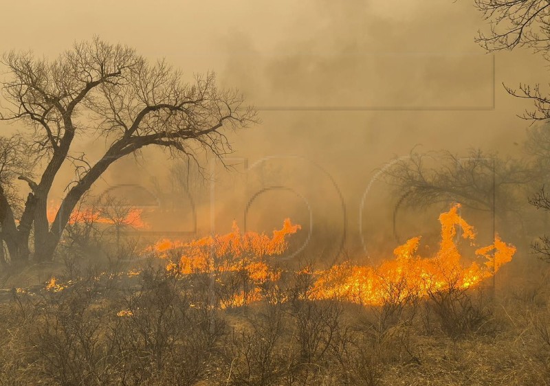 USA TEXAS WILDFIRE