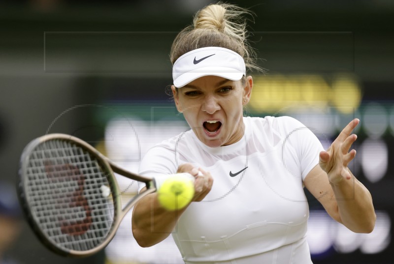 (FILE) TENNIS CAS HALEP