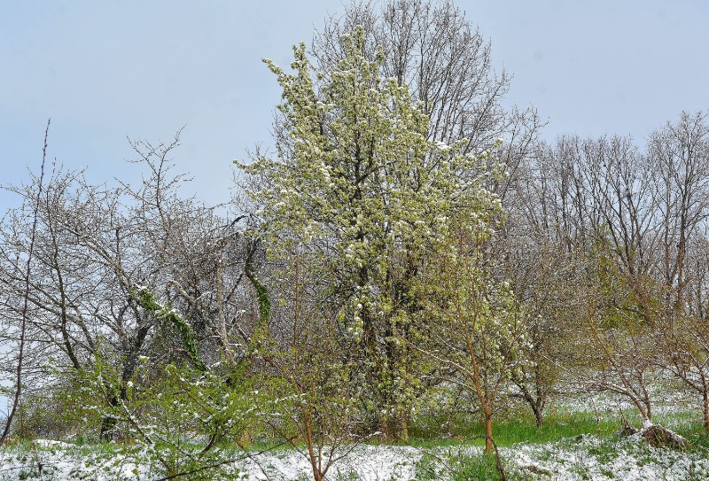 Snijeg u Karlovcu