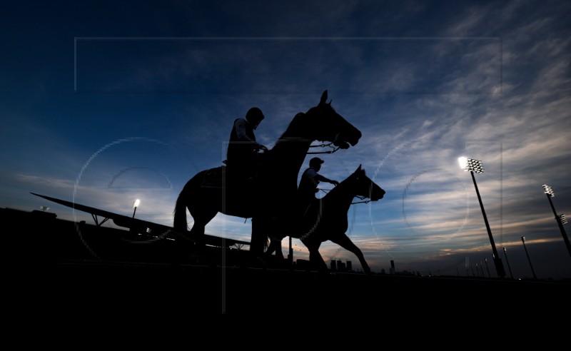 UAE HORSE RACING