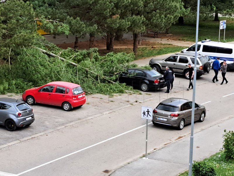 Jak vjetar srušio stablo na automobil u Borovu, nagli pad temperature zraka