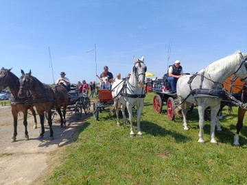 Vinkovci: Blagoslov konja i konjanika