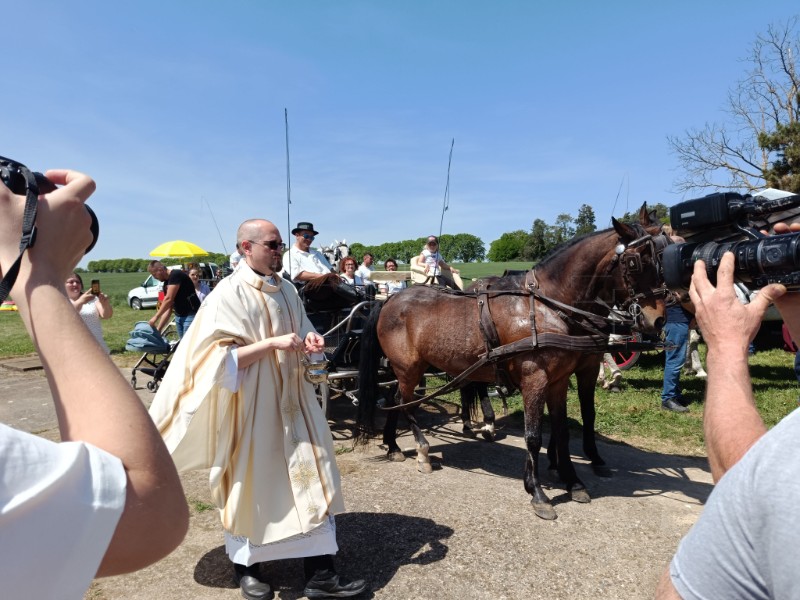 Vinkovci: Blagoslov konja i konjanika