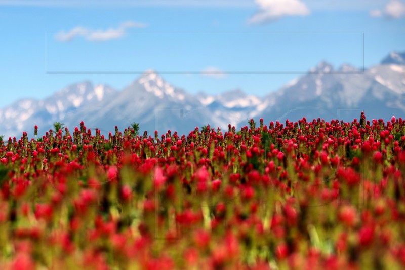 SLOVAKIA NATURE