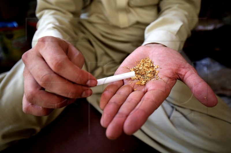 PAKISTAN WHO WORLD NO TABACCO DAY