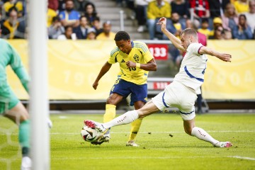 SWEDEN SOCCER 