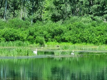 Drava kao skriveni biser "meditativnog turizma"