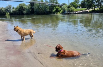 Drava kao skriveni biser "meditativnog turizma"