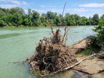 Drava kao skriveni biser "meditativnog turizma"