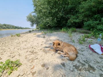 Drava kao skriveni biser "meditativnog turizma"