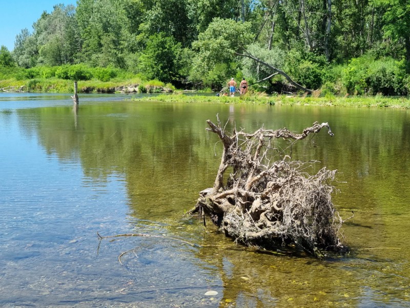 Drava kao skriveni biser "meditativnog turizma"