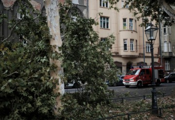 Oluja srušila drvo na Trgu Franje Tuđmana 