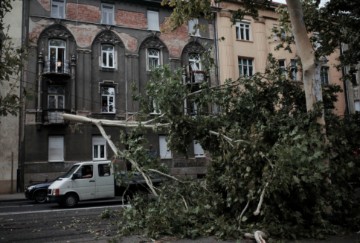 Oluja srušila drvo na Trgu Franje Tuđmana 