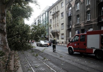 Oluja srušila drvo na Trgu Franje Tuđmana 