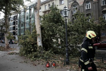 Oluja srušila drvo na Trgu Franje Tuđmana 