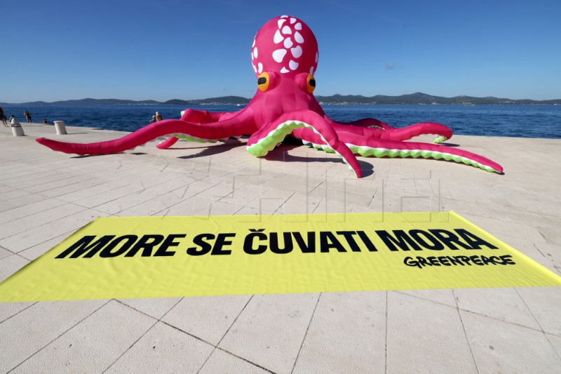 Zadar - Aktivisti Greenpeacea održali konferenciju za novinare