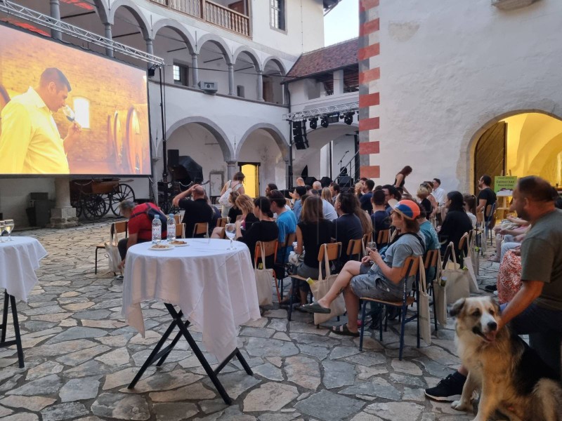 Otvoren 22. Tabor Film Festival