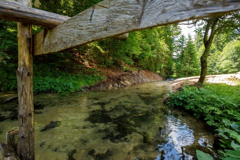 WWF: Dunavske pastrve ponovno zaplivale Bijelom rijekom na Plitvicama 