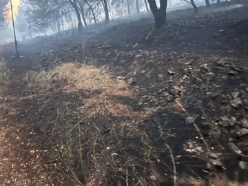 Požar otvorenog prostora u blizini Trogira