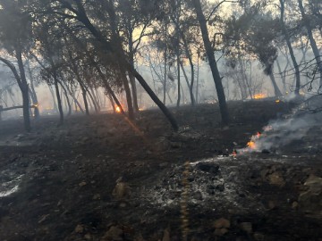 Požar otvorenog prostora u blizini Trogira