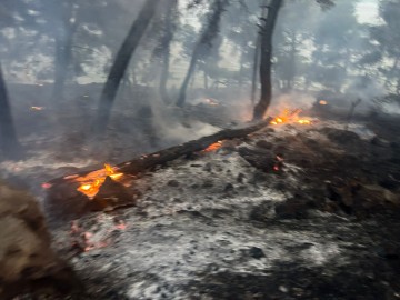 Požar otvorenog prostora u blizini Trogira