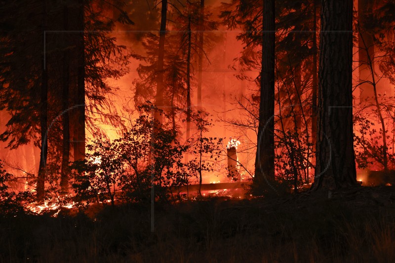 USA CALIFORNIA PARK FIRE