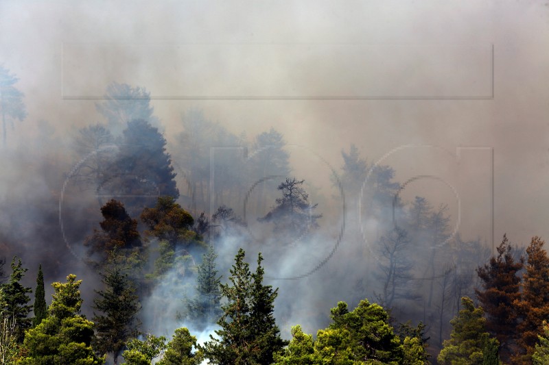 GREECE WILDFIRE