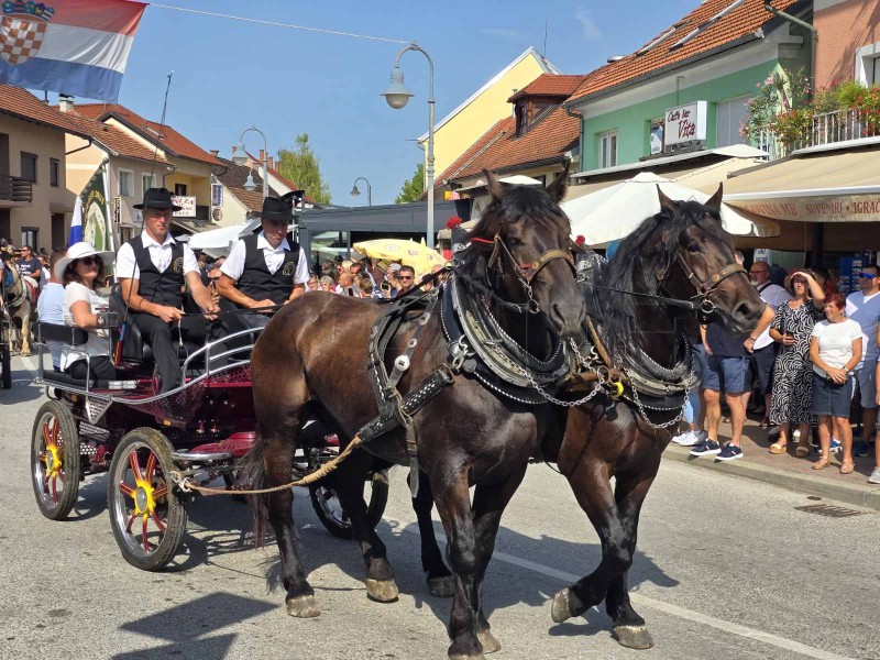 Održano 22. vozočašće konjskih zaprega i jahača u Mariju Bistricu