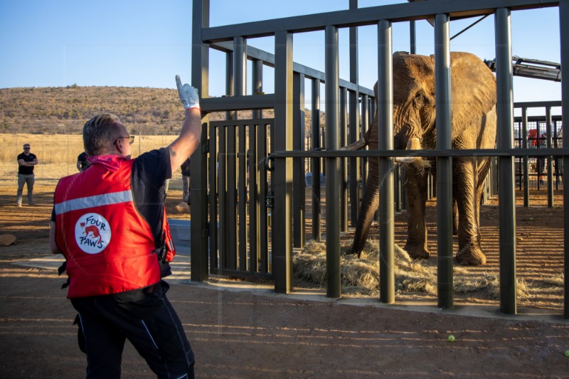 SOUTH AFRICA ANIMALS