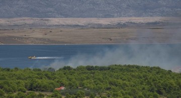 Požar na otvorenom prostoru na Viru