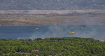 Požar na otvorenom prostoru na Viru