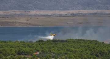 Požar na otvorenom prostoru na Viru