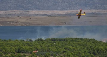 Požar na otvorenom prostoru na Viru