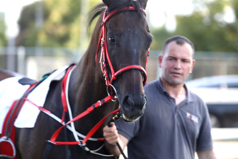  Održane Međunarodne galopske utrke "XVIII. HRVATSKI GALOPSKI DERBY"