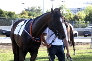  Održane Međunarodne galopske utrke "XVIII. HRVATSKI GALOPSKI DERBY"