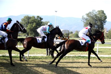  Održane Međunarodne galopske utrke "XVIII. HRVATSKI GALOPSKI DERBY"