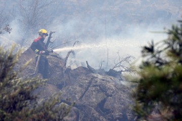 Eskalirao požar kod Žrnovnice