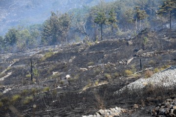 Posljedice požara u Sitnu Donjem