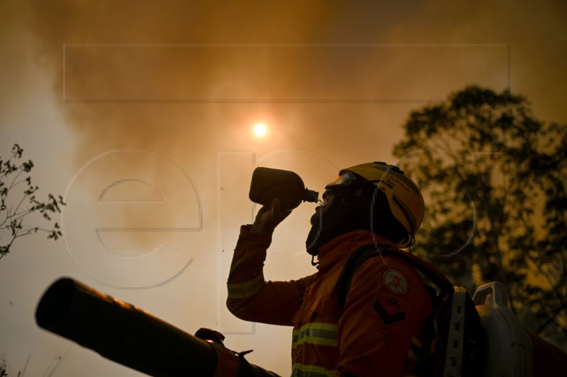 BRAZIL FIRES