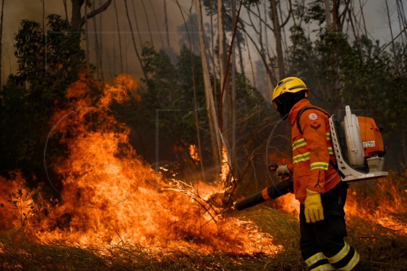 BRAZIL FIRES