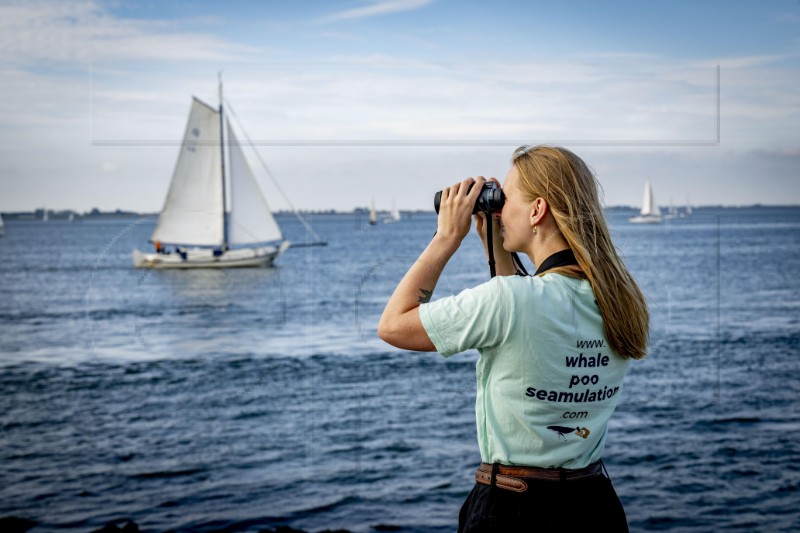 NETHERLANDS WHALE DAY