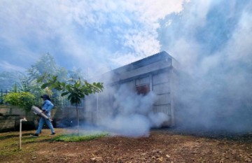 NICARAGUA DENGUE