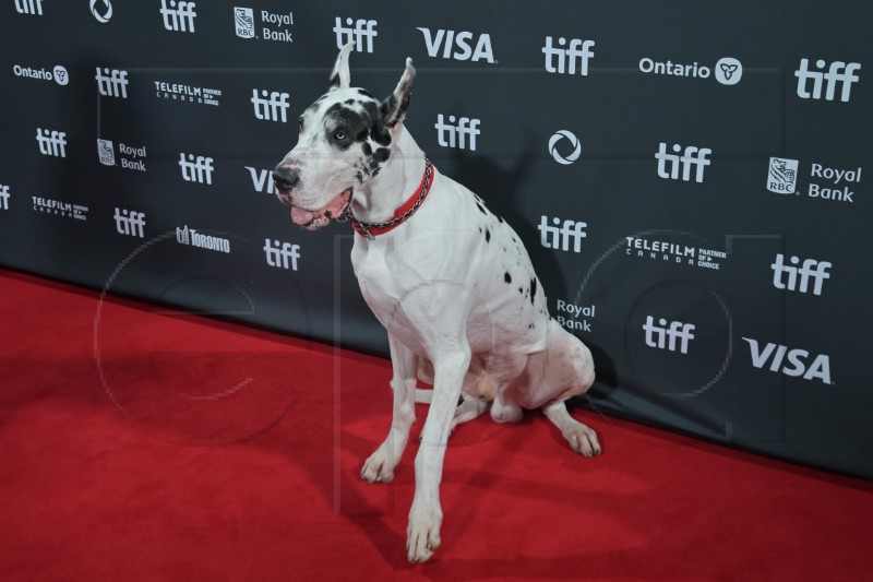 CANADA TORONTO FILM FESTIVAL 2024