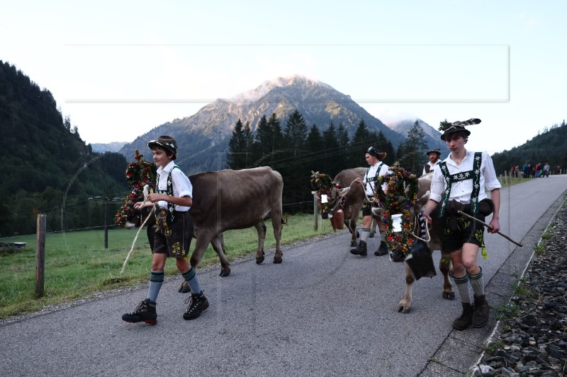 GERMANY AGRICULTURE TRADITION