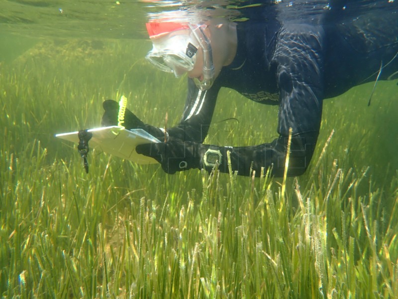 Autonomna plovila u službi zaštite Jadranskog mora