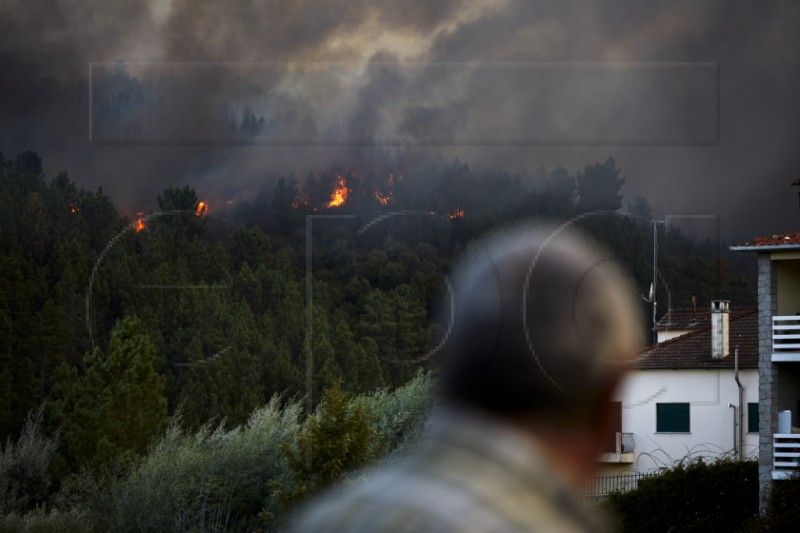 PORTUGAL FOREST FIRE