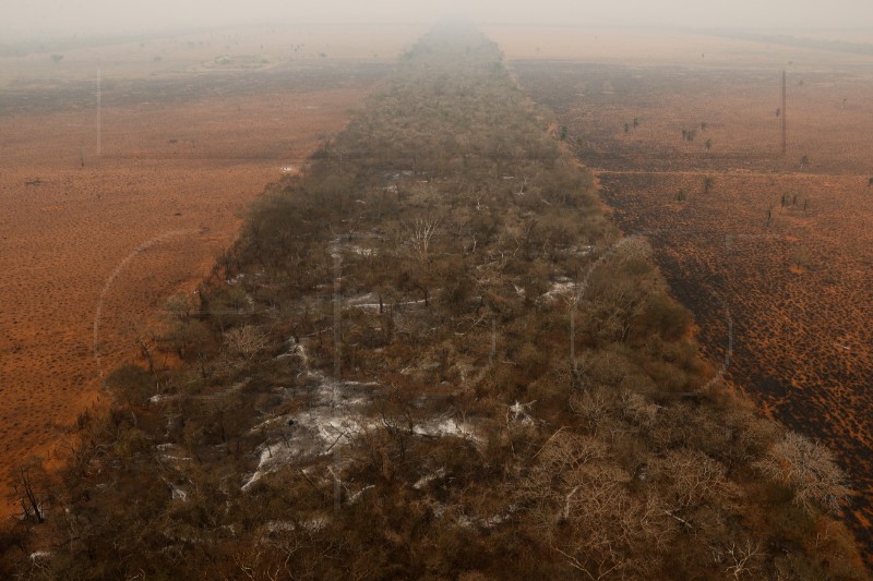 PARAGUAY FIRES