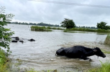 MYANMAR FLOOD